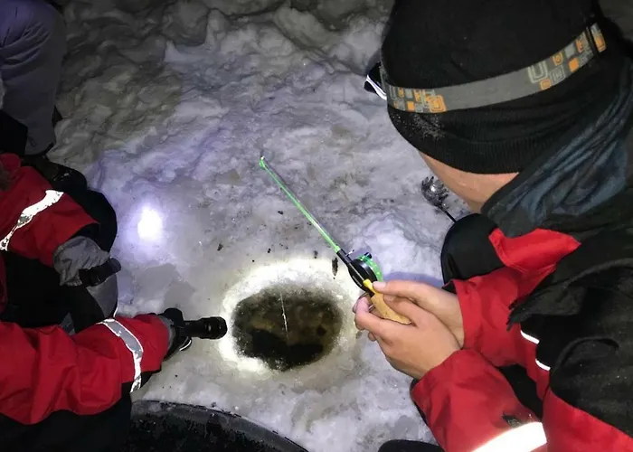 Miekojaervi Вилла