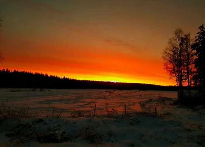 Miekojaervi Вилла Пелло